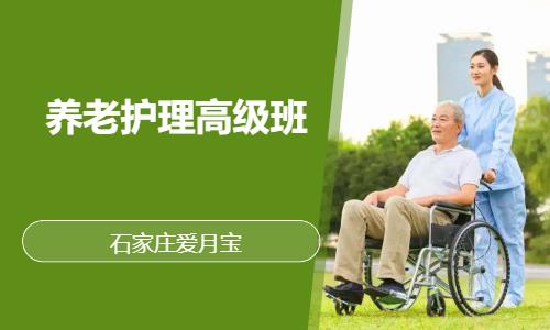 养老护理高级班