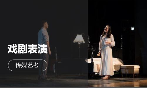 东莞艺术表演培训