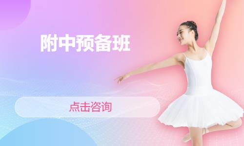 成都少儿芭蕾舞班