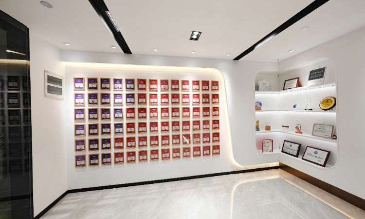 上海菠萝国际教育