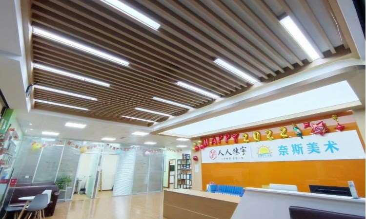 成都奈斯少儿美术