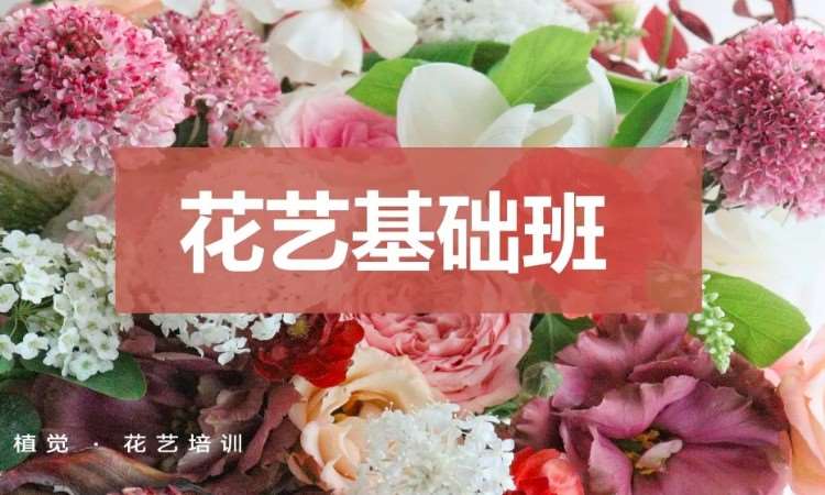 广州花艺设计学校