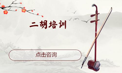 深圳二胡培训少儿班