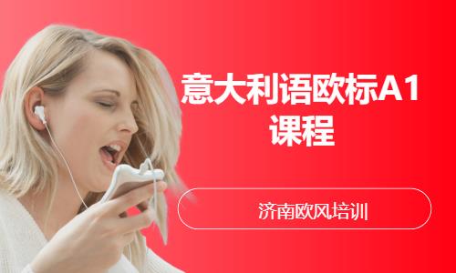 济南学意大利语机构