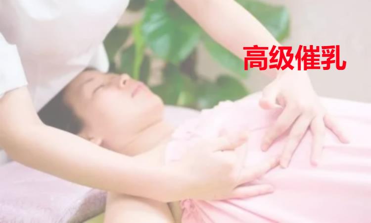 济南正规催乳师培训