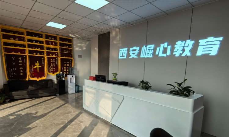西安崛心教育