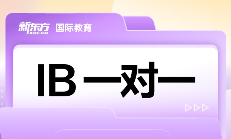 成都IB一对一