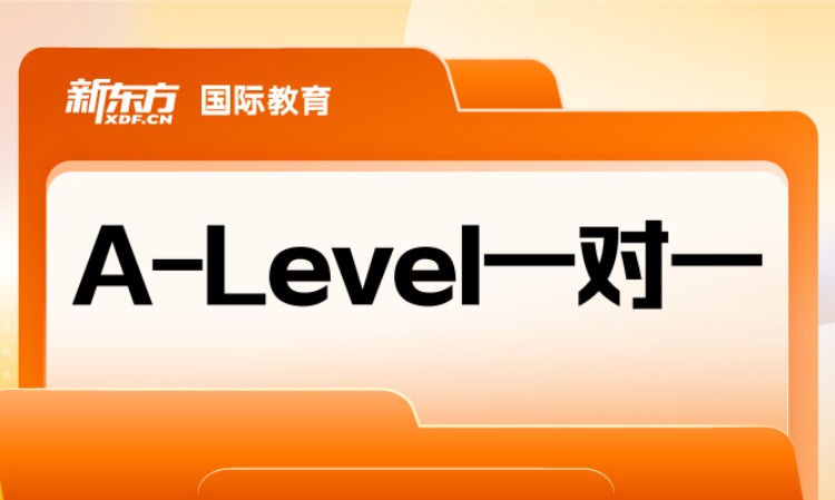 成都A-Level一对一