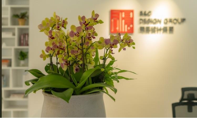 杭州司晨教育科技产业有限公司