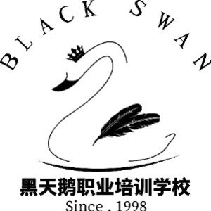 哈尔滨黑天鹅职业培训学校