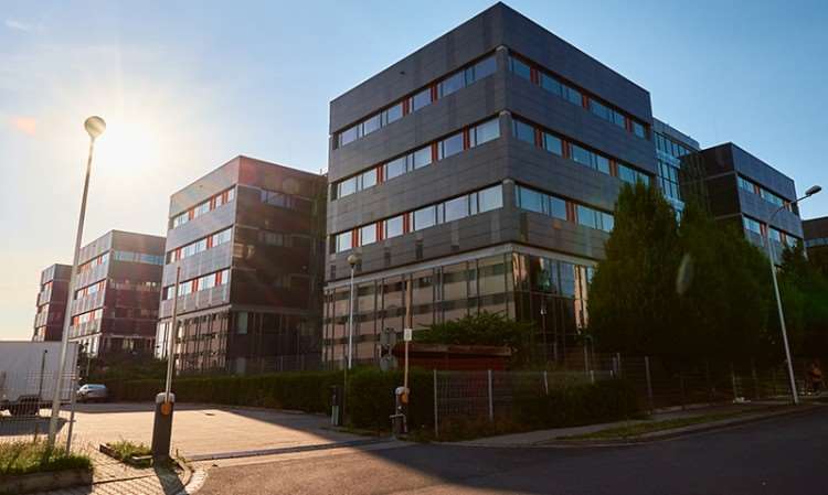 美国佩丁精英高中