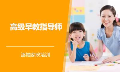 高级早教指导师