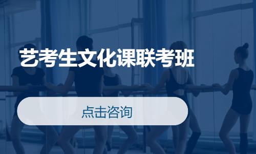 广州一对一艺考生培训