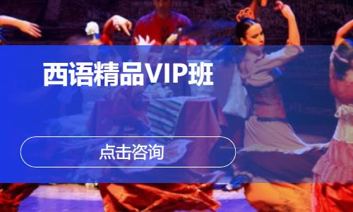 西语精品VIP班