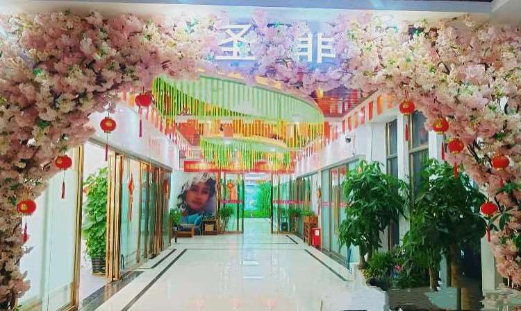 东莞市圣非美妆