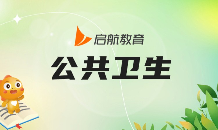 杭州非统考专业课辅导班