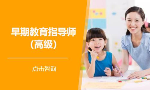 早期教育指导师（高级）