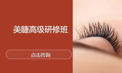 郑州美睫高级研修班