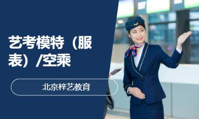 北京艺考空乘学校