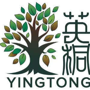 天津英桐国际教育