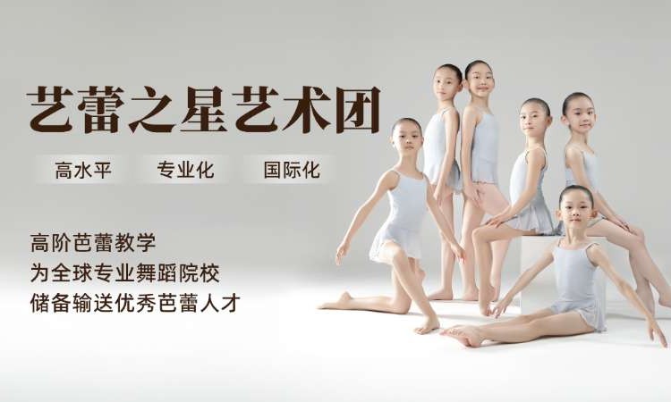 中央芭蕾舞团中芭艺蕾南京示范基地