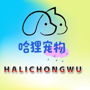 上海哈狸宠物美容师培训