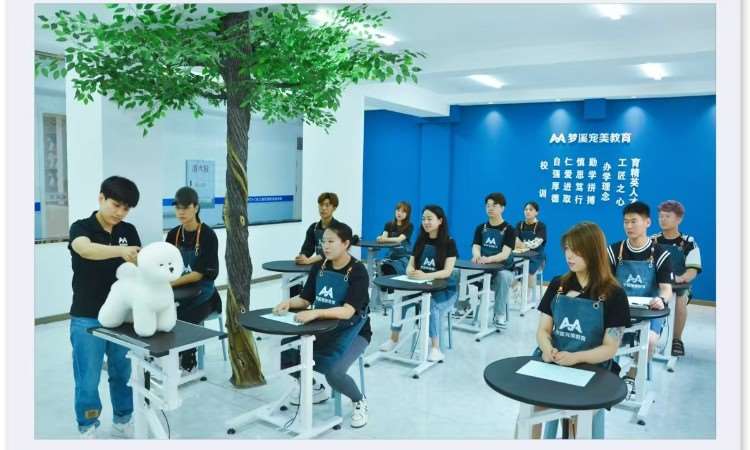 哈尔滨梦溪宠物美容师培训