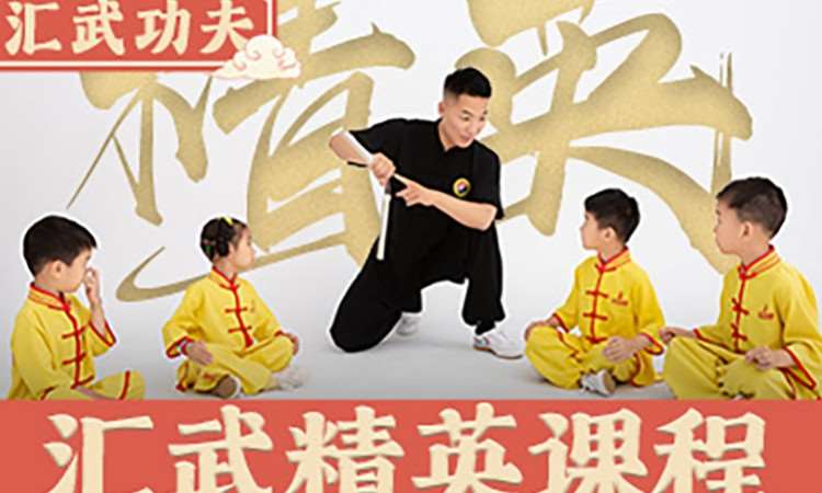 少儿武术培训精英班