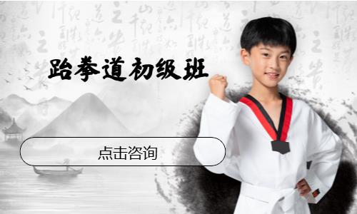 东莞跆拳道少儿班