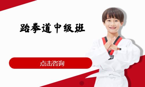 东莞儿童跆拳道培训