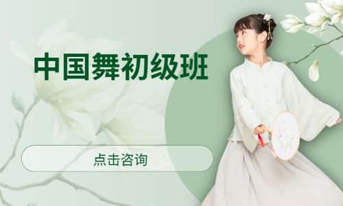 东莞少儿中国舞训练班
