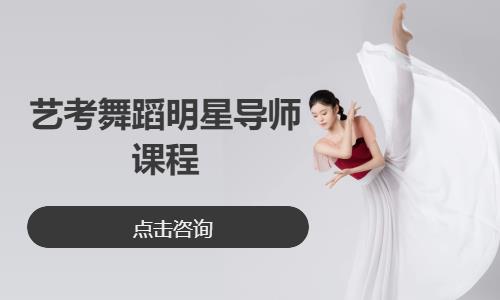 艺考舞蹈明星导师课程