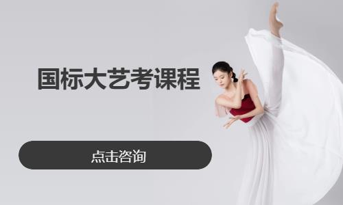 北京国标大艺考课程