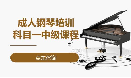 北京成人钢琴培训机构