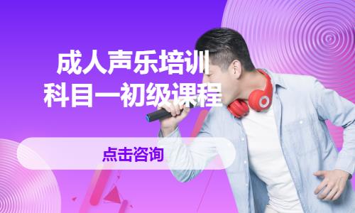北京成人声乐培训班