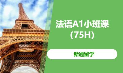 天津法语强化培训