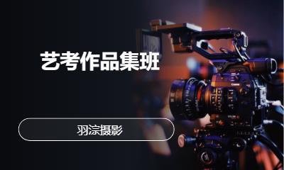 艺考作品集班