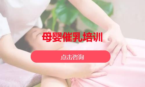 母婴催乳培训