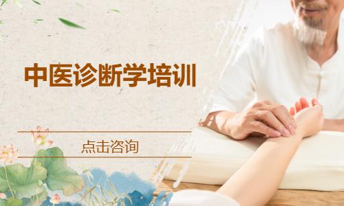中医诊断学培训