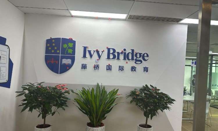 广州梦桥国际教育