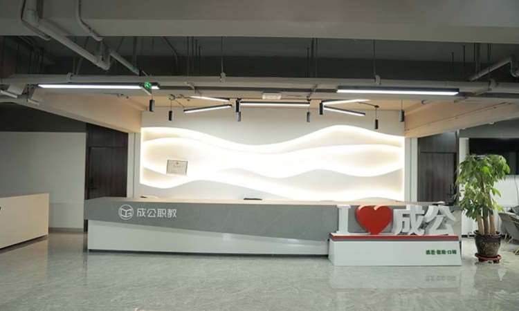 成公教育