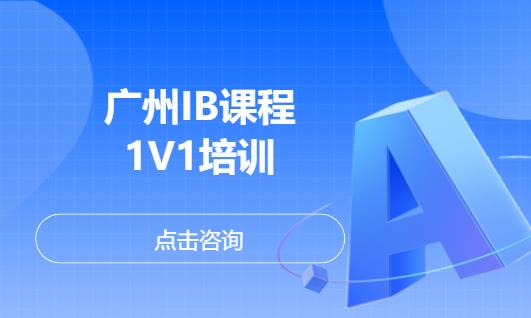 广州IB 1v1培训