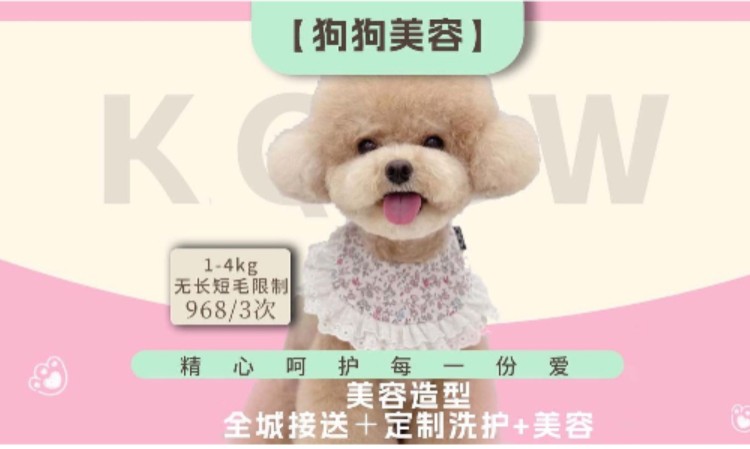 苏州宠物美容师培训学校c证