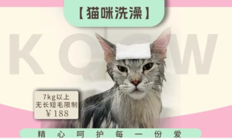 苏州宠物美容师培训学校