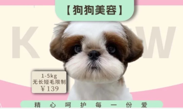苏州宠物店美容师培训