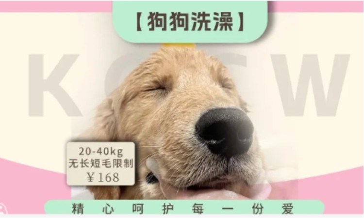 苏州宠物美容学习