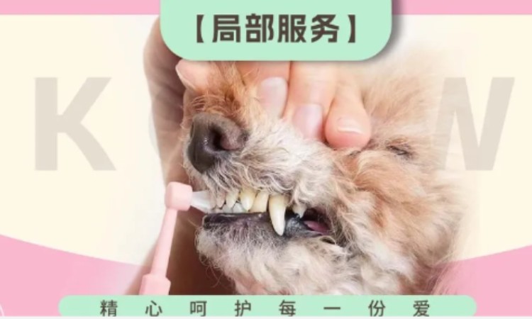 苏州宠物美容师培训的学校