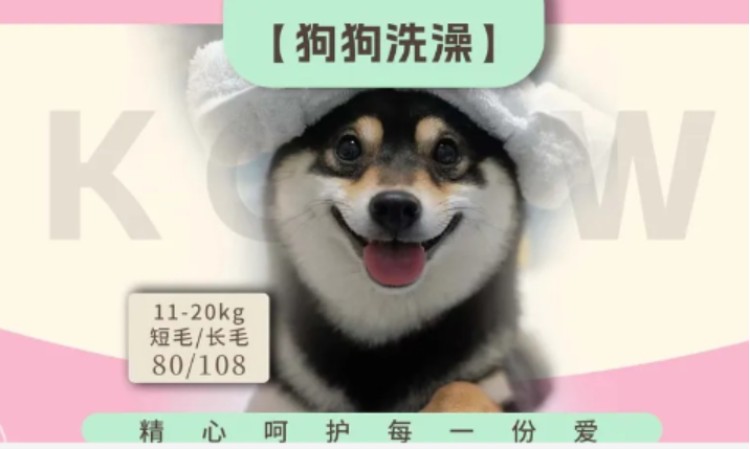 苏州宠物美容师资格培训