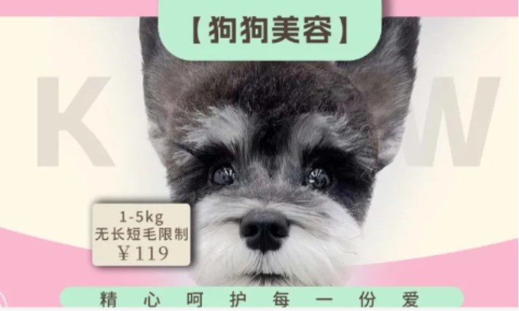 苏州专业宠物美容师培训班