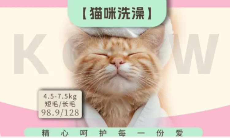 苏州宠物美容师c级培训班
